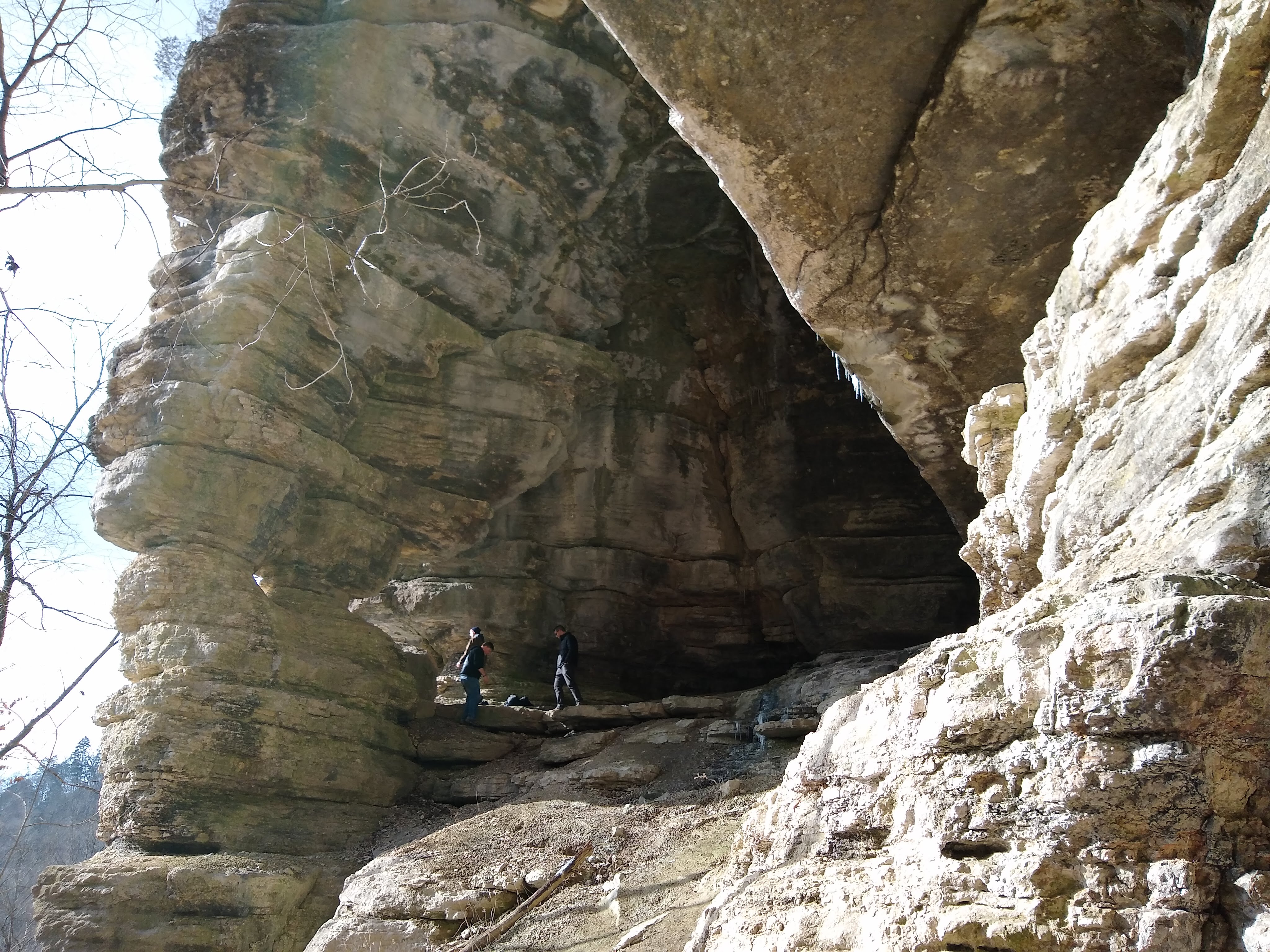 Cave Entrance Along Jessamine Creek