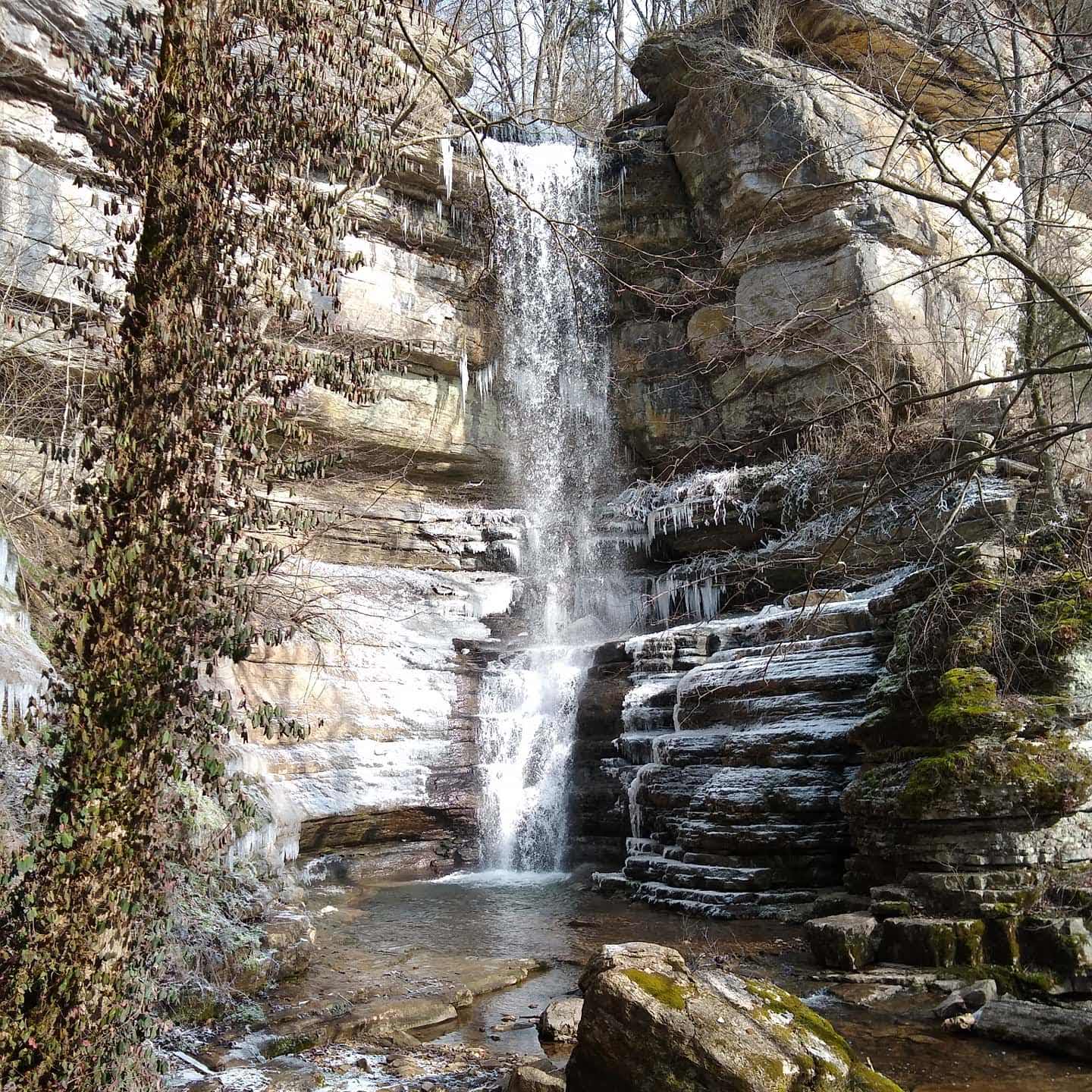 Icy Jessamine Falls